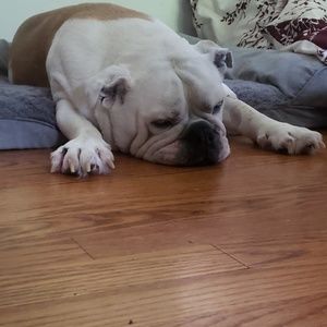 Meet your Posher, Jonathan